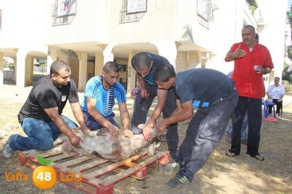 dabe7 ludj31 (33).JPG